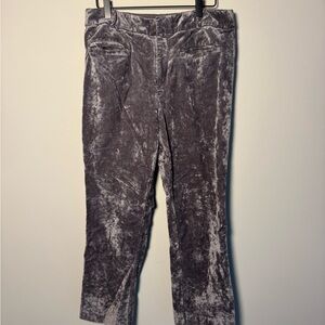 Anthropologie Velvet Trousers Gray Size 10
